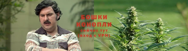 прущий лед Липки