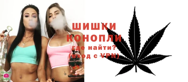 стаф Магас