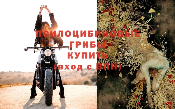 прущий лед Липки